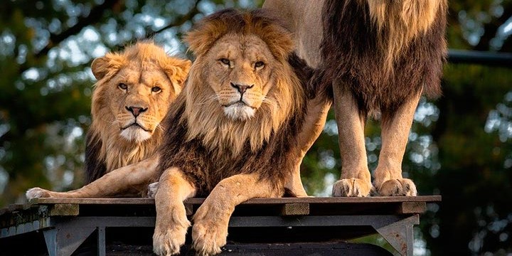 Der er masser at lave i Aalborg. Tag eksempelvis på shopping i Friis Shoppingcenter